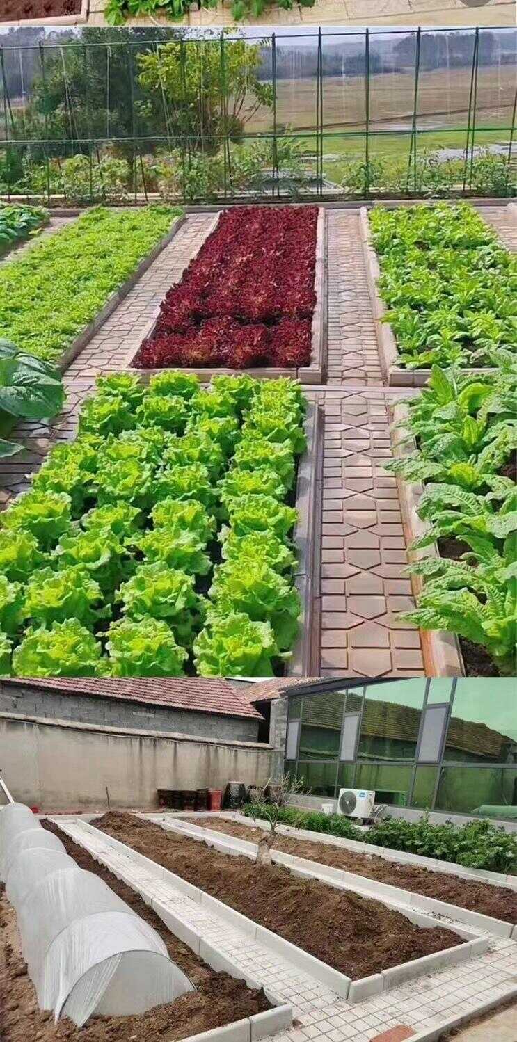 20241029173250537.jpg