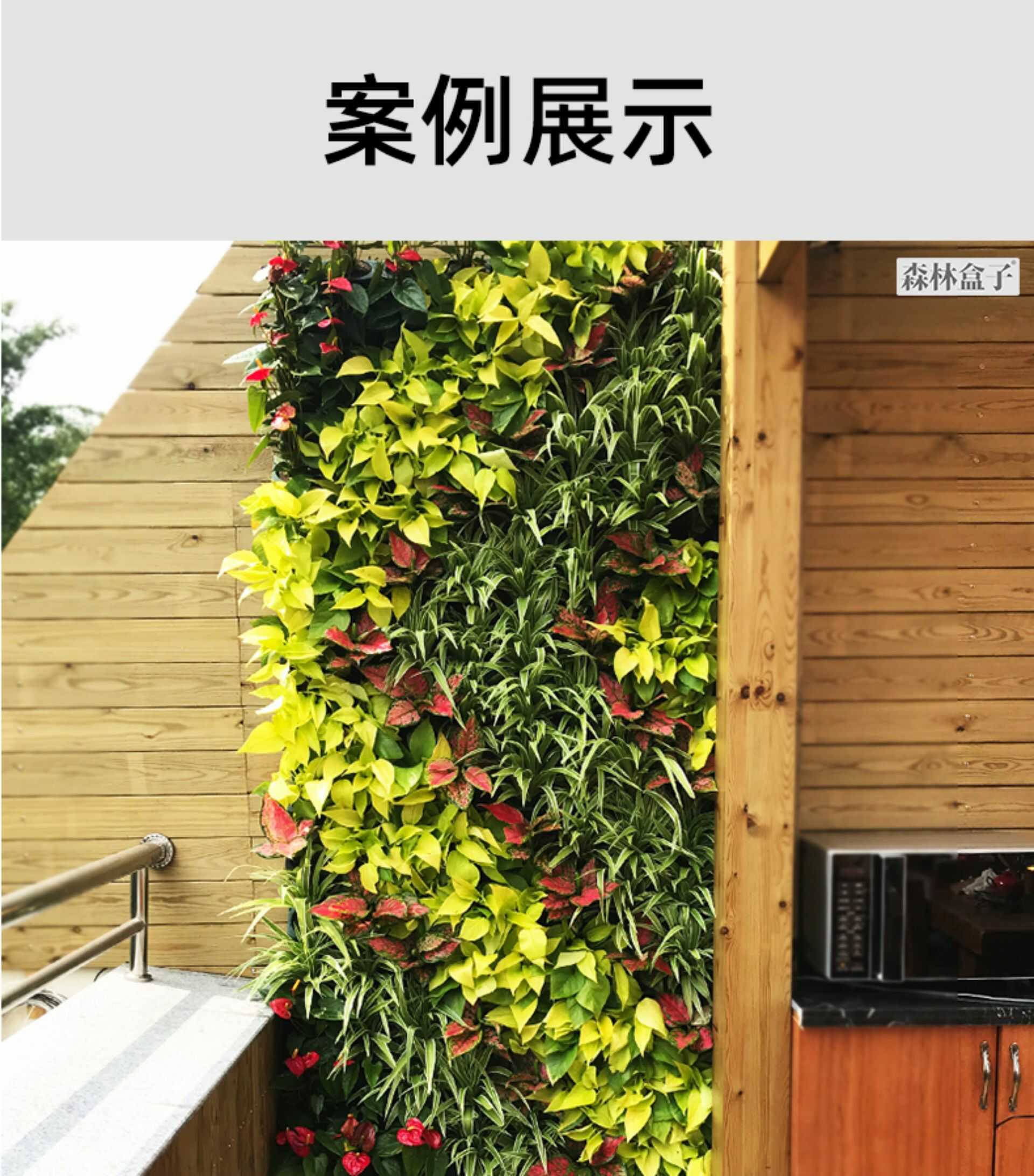 植物墙花盆自动滴灌浇花定时器套装阳台花园智能灌溉浇水系统全套(图17)