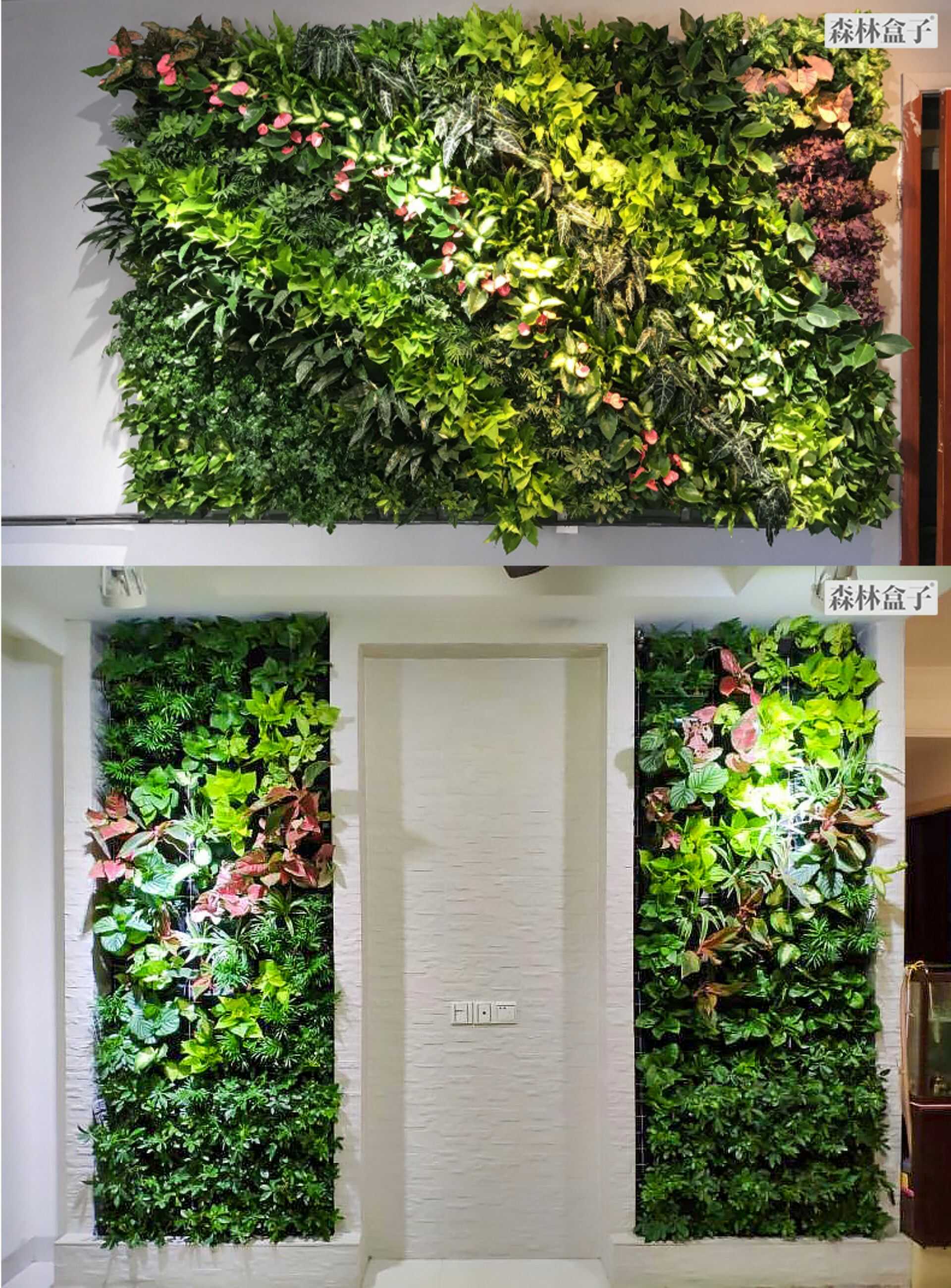 植物墙花盆自动滴灌浇花定时器套装阳台花园智能灌溉浇水系统全套(图18)